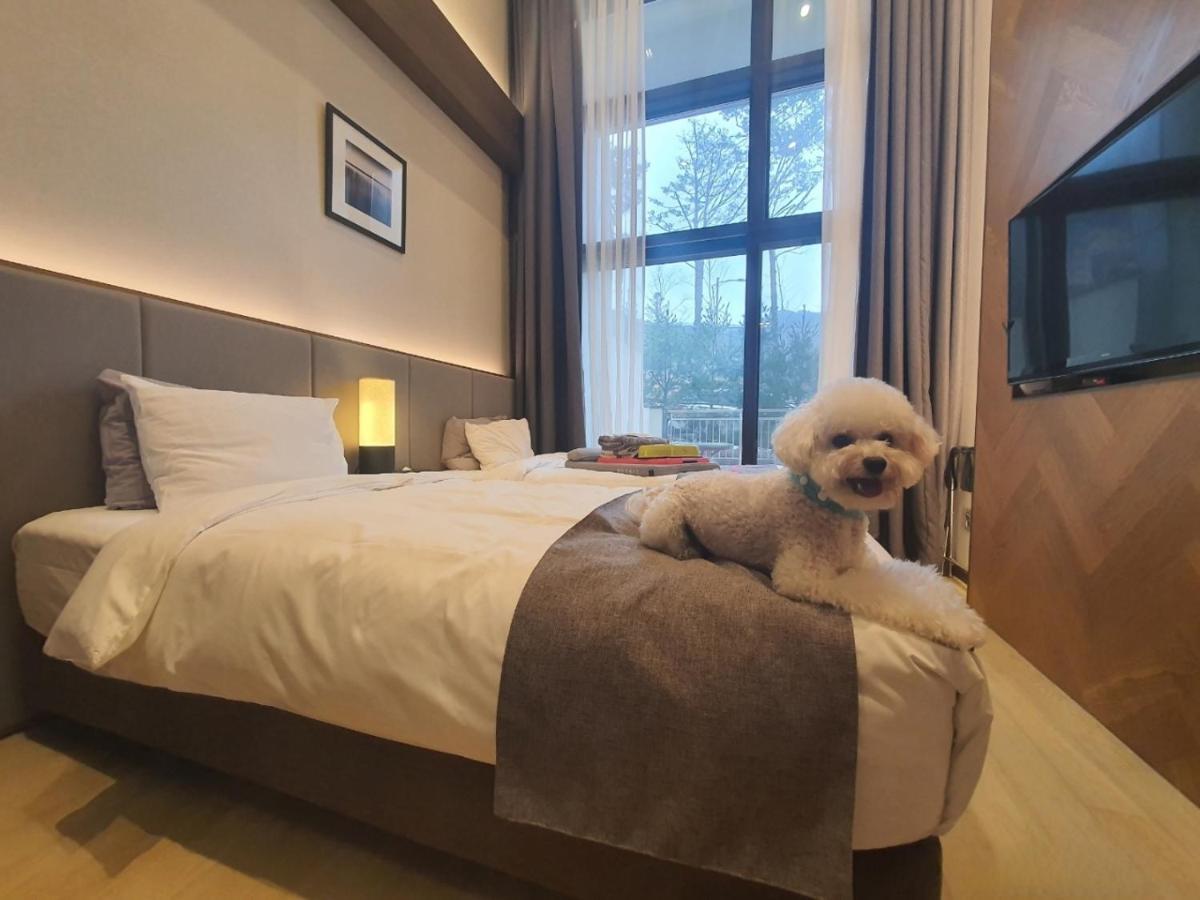 Ramada Hotel & Suite By Wyndham Gangwon بيونغتشانغ المظهر الخارجي الصورة